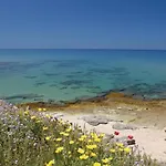 Lubagnu 카스텔사르도